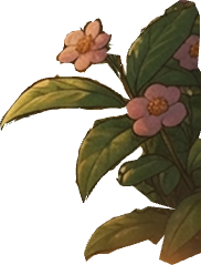 Cluster of wildflowers and foliage